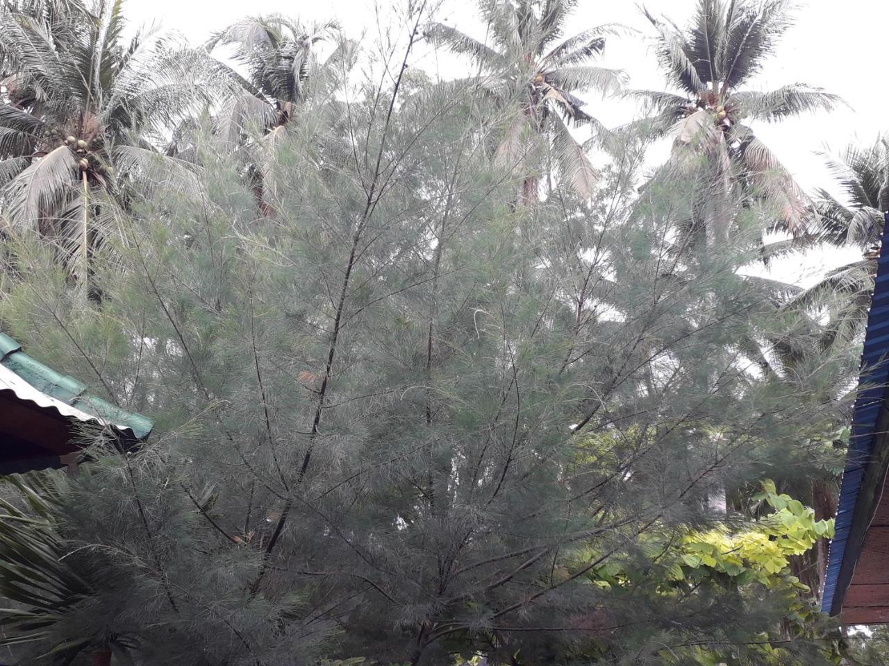 Jasmine Inn Nusa Penida Luaran gambar